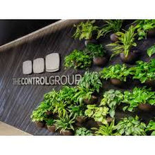 Load image into Gallery viewer, Living Wall Sconce ⭐⭐⭐⭐⭐