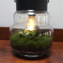 Load image into Gallery viewer, Terrarium Table Lantern (Self-Powered) ⭐⭐⭐⭐⭐ Chicago Area Delivery Only