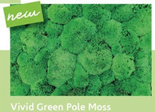Load image into Gallery viewer, New! Premium Green Pole Moss Wall Panels ⭐⭐⭐⭐⭐