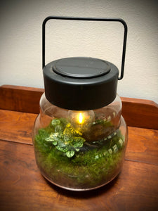 Terrarium Table Lantern (Self-Powered) ⭐⭐⭐⭐⭐ Chicago Area Delivery Only