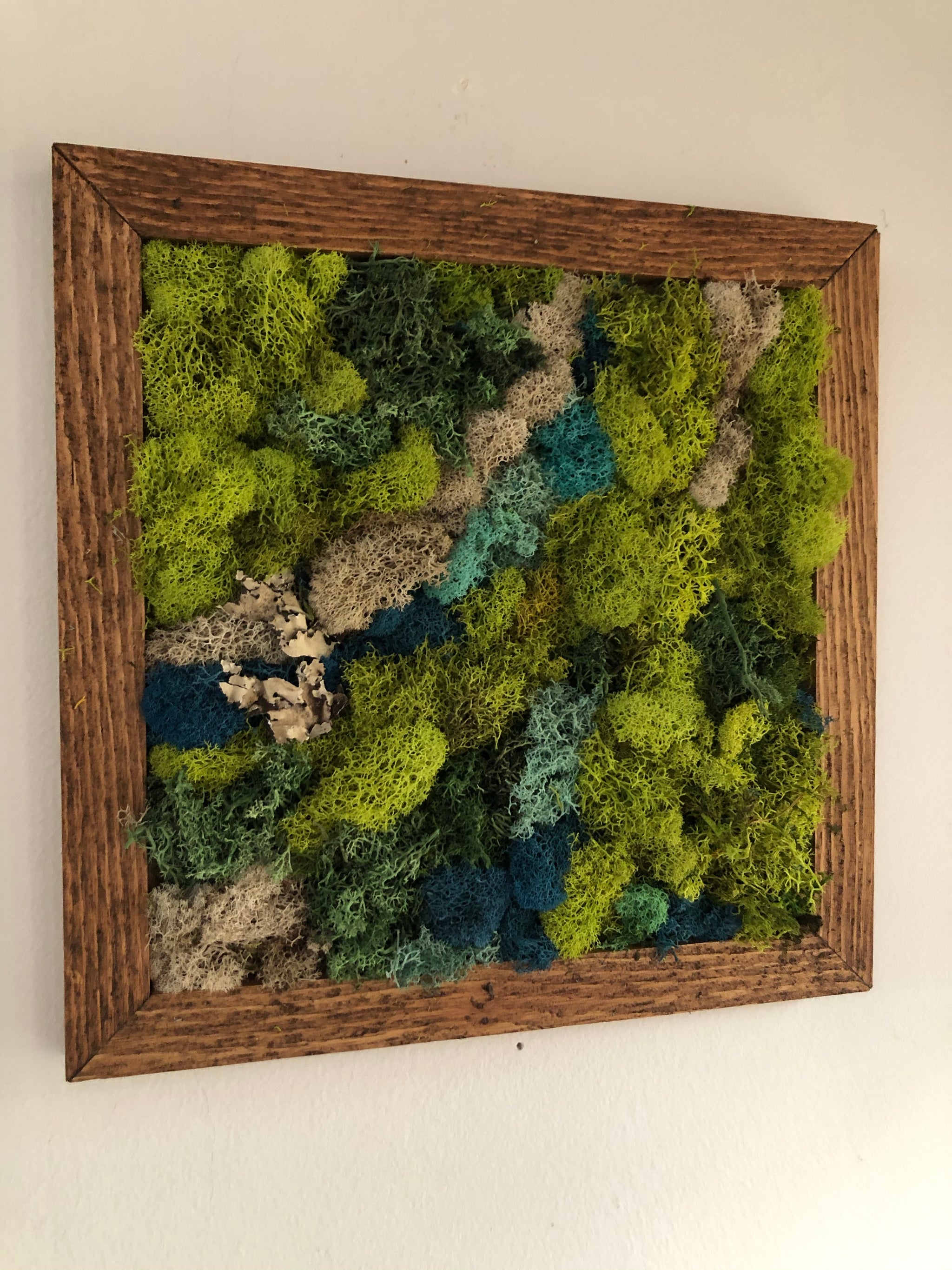 Small Nature Frame Nature Art Frames