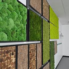 New...Reindeer Moss Living Wall Panels  ⭐⭐⭐⭐⭐