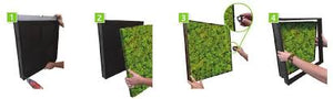 New! Deep Green Long Moss Wall Panels ⭐⭐⭐⭐⭐