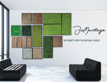 Load image into Gallery viewer, New...Reindeer Moss Living Wall Panels  ⭐⭐⭐⭐⭐
